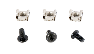 M6 screw (Torx head) and cage nut